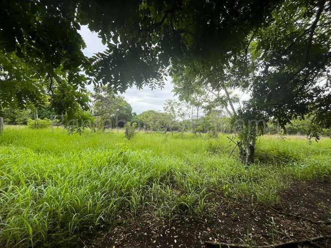 Venta de Terreno en Cocle DDB27-1339 - Imagen 12