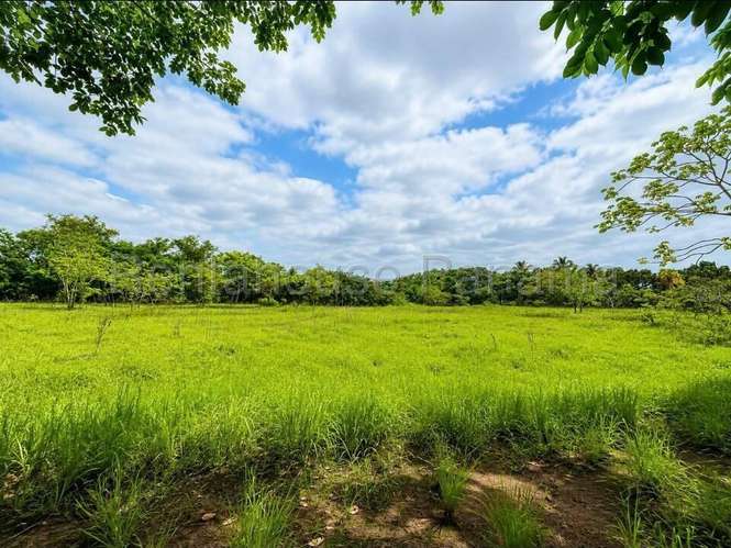 Venta de Terreno en Cocle DDB27-1339 - Imagen 2