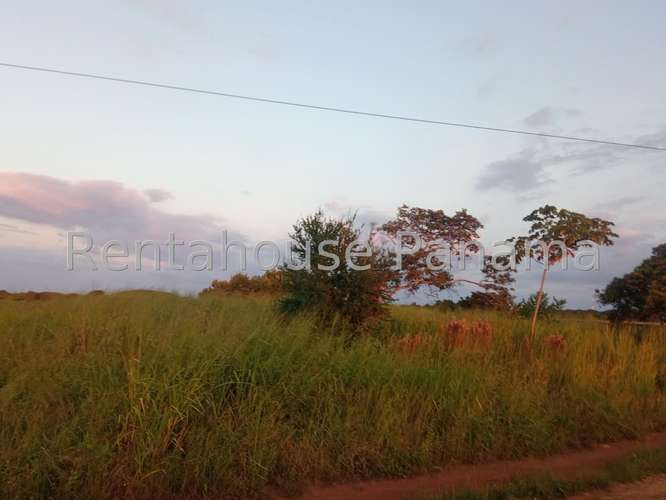 Venta de Terreno en Aguadulce – Lote Ramal Interamericana - Imagen 16