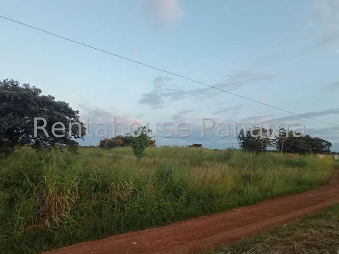 Venta de Terreno en Aguadulce – Lote Ramal Interamericana - Imagen 15