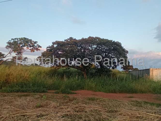Venta de Terreno en Aguadulce – Lote Ramal Interamericana - Imagen 5
