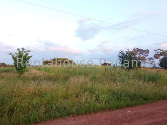 Venta de Terreno en Aguadulce – Lote Ramal Interamericana - Imagen 7