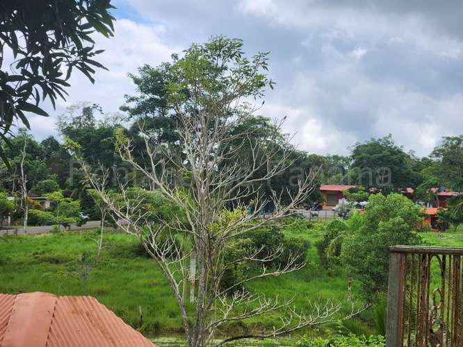 Venta de Terreno en Chorrera – Hacienda - Imagen 11