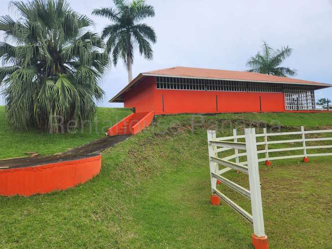 Venta de Terreno en Chorrera – Hacienda - Imagen 7