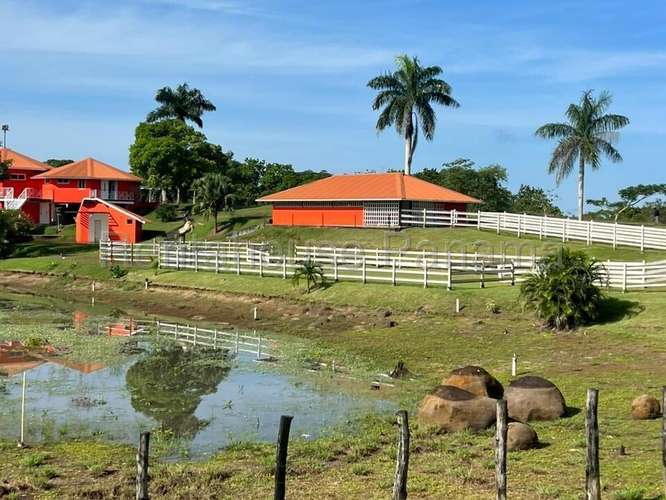 Venta de Terreno en Chorrera – Hacienda - Imagen 19