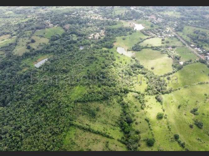 Venta de Terreno en Chorrera – Hacienda - Imagen 18