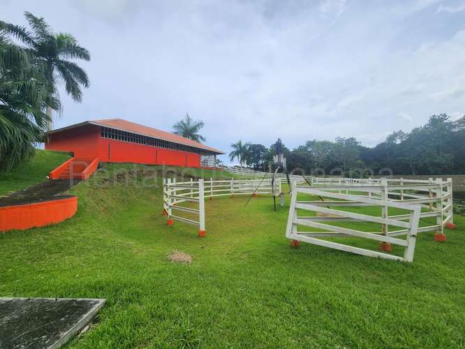 Venta de Terreno en Chorrera – Hacienda - Imagen 5