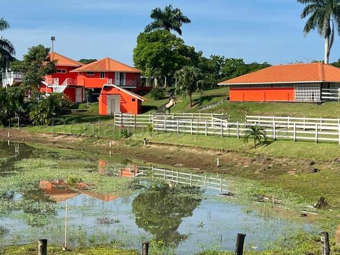Venta de Terreno en Chorrera – Hacienda - Imagen 16