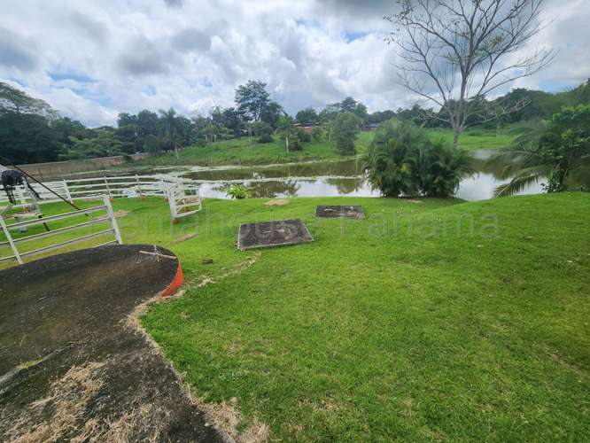 Venta de Terreno en Chorrera – Hacienda - Imagen 4