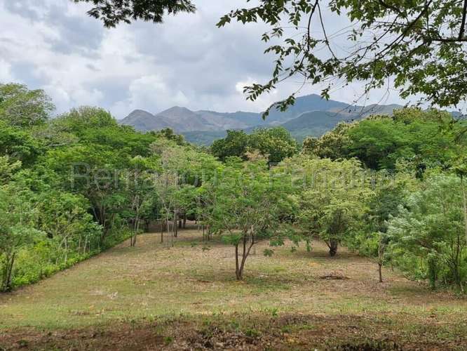 Venta de Terreno en Capira – Terreno - Imagen 5