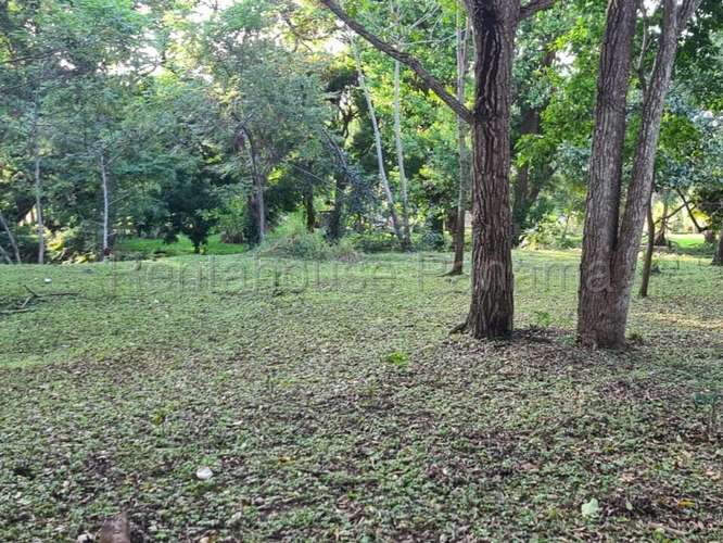 Venta de Terreno en Capira – Terreno - Imagen 8