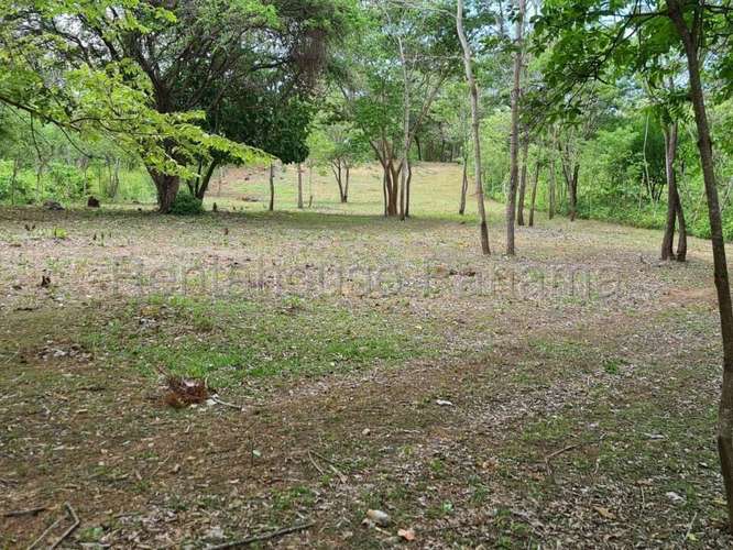 Venta de Terreno en Capira – Terreno - Imagen 7