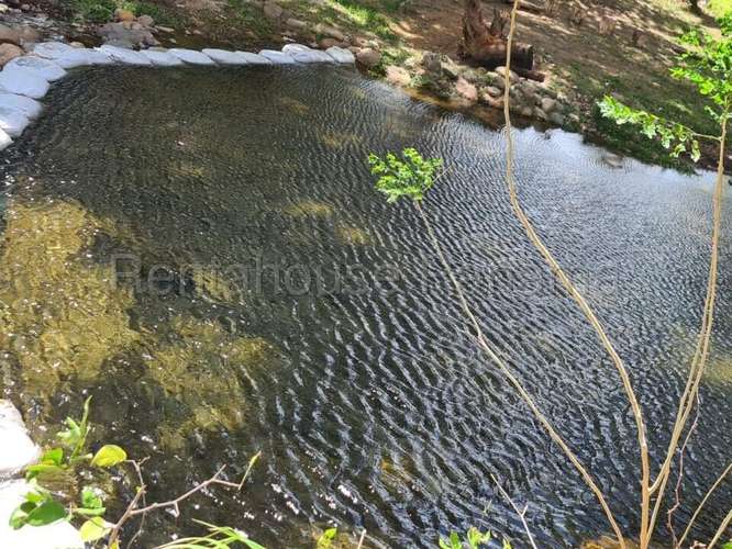 Venta de Terreno en Capira – Terreno - Imagen 11