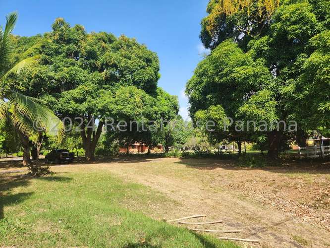 Venta de Terreno en Capira – Terreno - Imagen 19