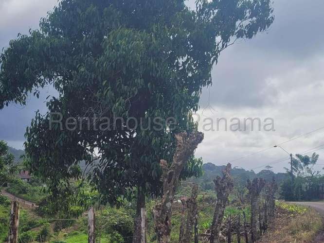 Venta de Terreno en Cermeno – Terreno en Capira - Imagen 17