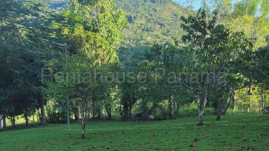 Venta de Terreno en Cermeno – Terreno en Capira - Imagen 2