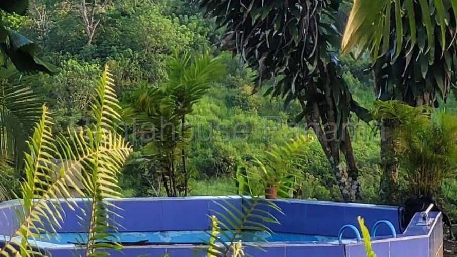 Venta de Terreno en Cermeno – Terreno en Capira - Imagen 9