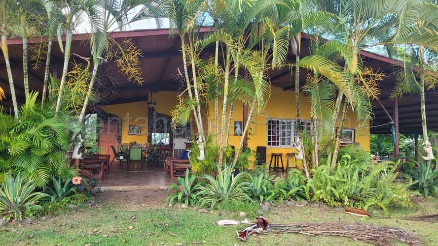 Venta de Terreno en Cermeno – Terreno en Capira - Imagen 5