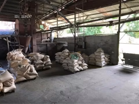 Molino en venta, Chiriqui, La Concepción, 1.4785 Hectáreas. - Imagen 6