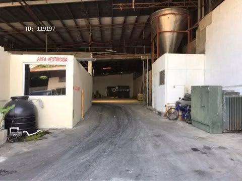 Molino en venta, Chiriqui, La Concepción, 1.4785 Hectáreas. - Imagen 10