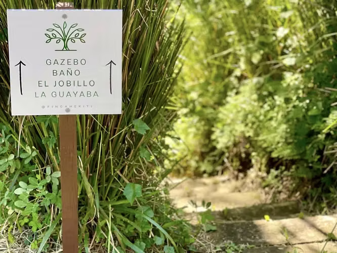 Bo. Anones, Finca en Las Marias