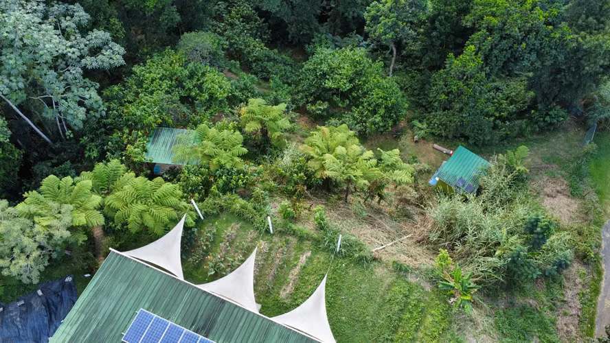 Bo. Anones, Finca en Las Marias
