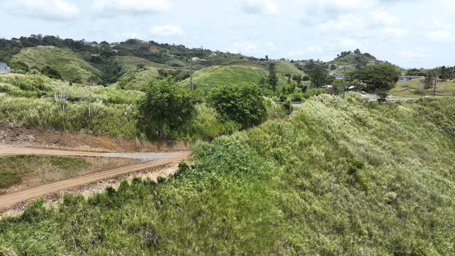 Bo. Quebradillas, Terreno en Barranquitas - Imagen 8