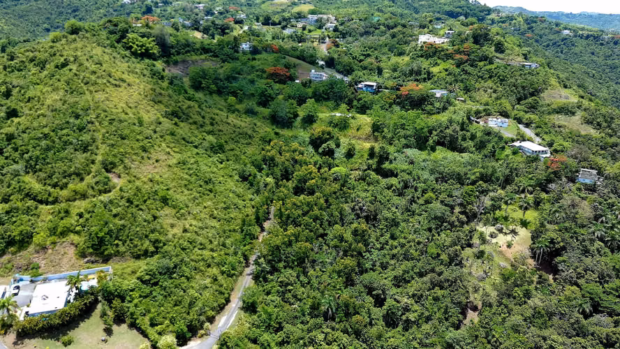 Bo. Toita, Terreno en Cidra