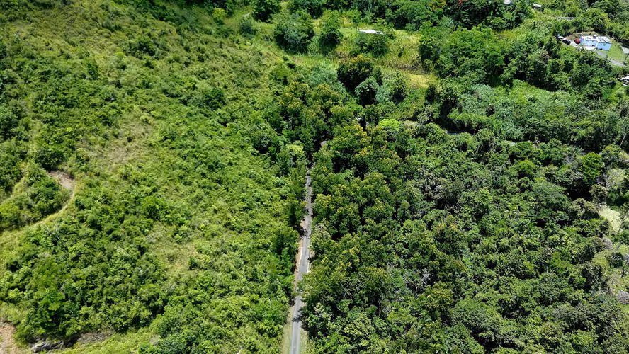 Bo. Toita, Terreno en Cidra
