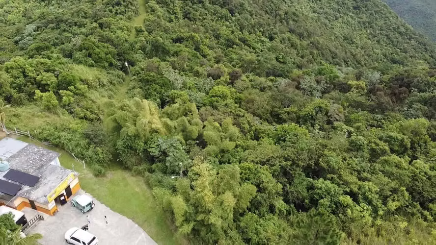 Bo. La Piedra, Finca en Cayey