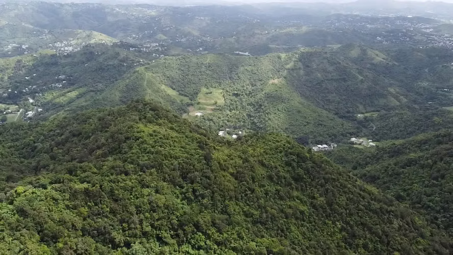 Bo. La Piedra, Finca en Cayey