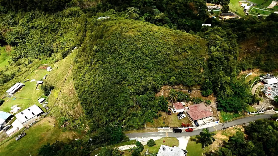 Bo. Río Arriba, Terreno en Manatí