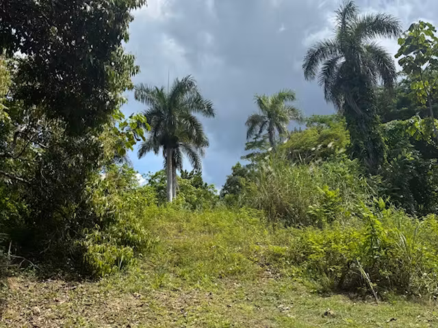 Bo. Abras, Terreno en Corozal