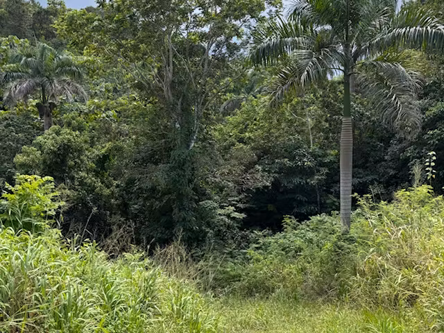 Bo. Abras, Terreno en Corozal