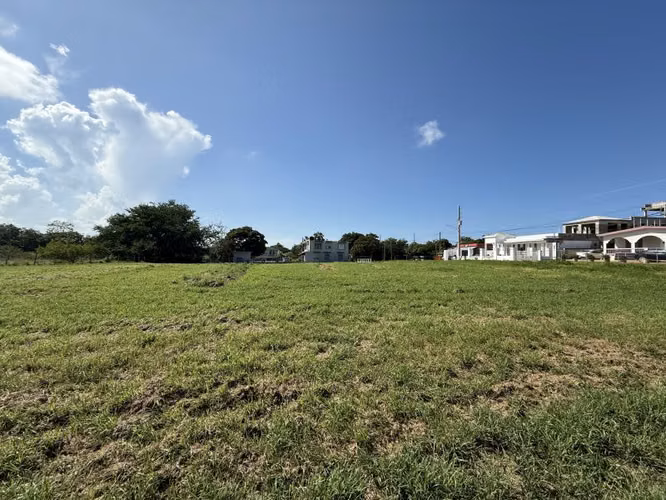 Bo. Mora, Terreno en Isabela