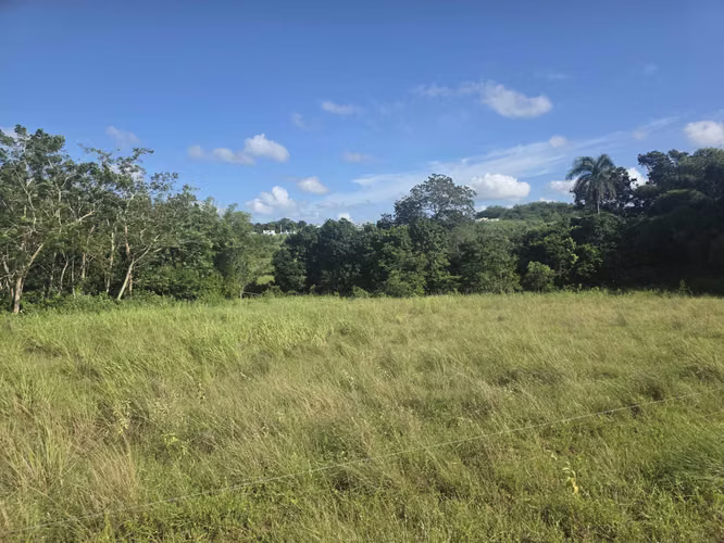 Bo. Miradero, Terreno en Cabo Rojo