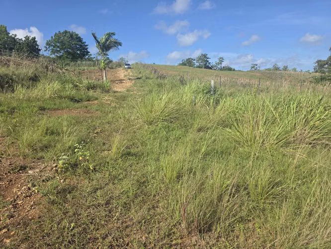 Bo. Miradero, Terreno en Cabo Rojo