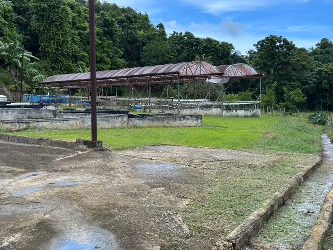 Bo. Río Arriba Poniente, Finca en Manatí