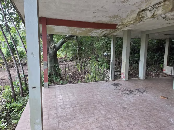 Bo. Morovis Norte, Finca en Morovis