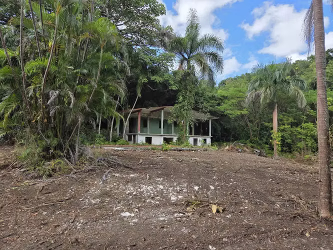 Bo. Morovis Norte, Finca en Morovis