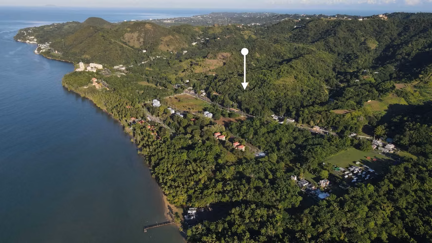 Bo. Caguabo, Finca en Anasco