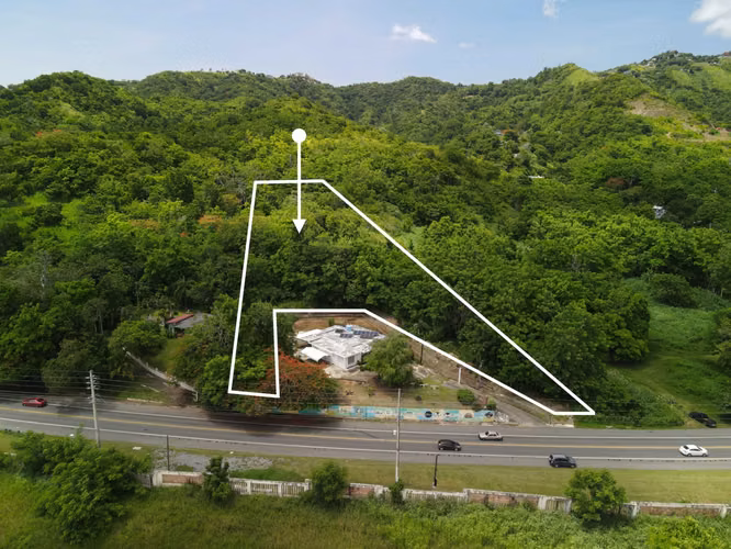 Bo. Caguabo, Finca en Anasco