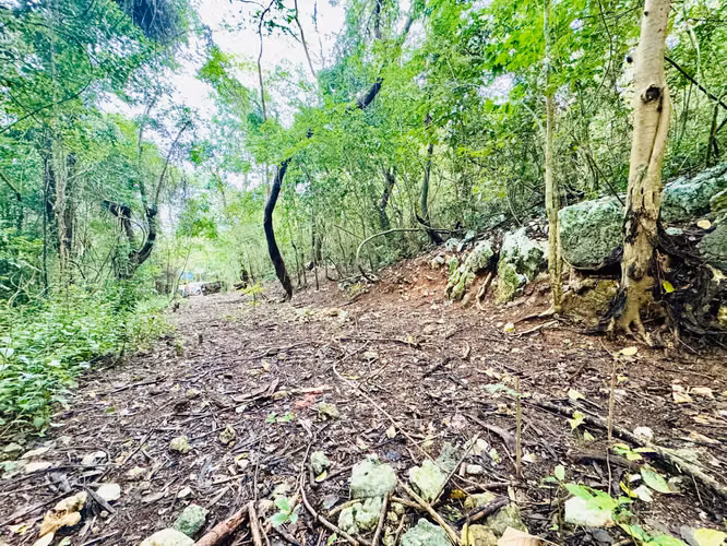 Bo. Manati Abajo, Terreno en Barceloneta