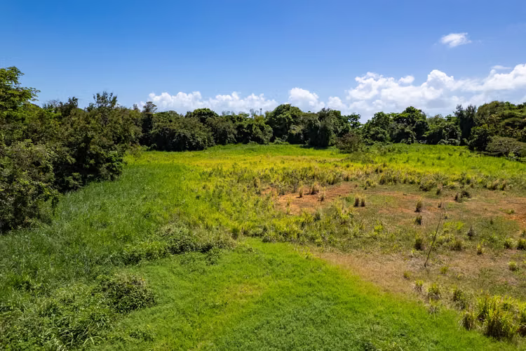 Bo. Demajagua, Terreno en Fajardo