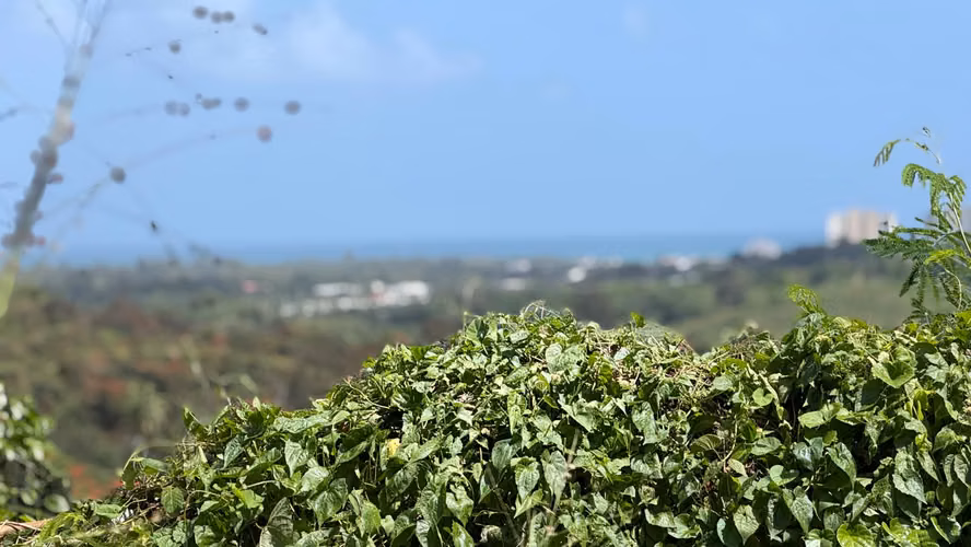 Solar en Urb. Villas De Luquillo