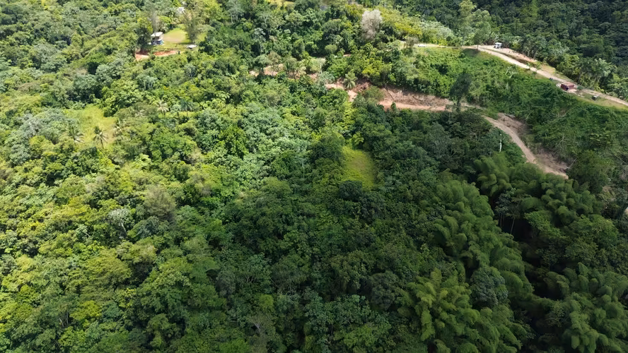 Bo. Rio Arriba, Terreno en Añasco