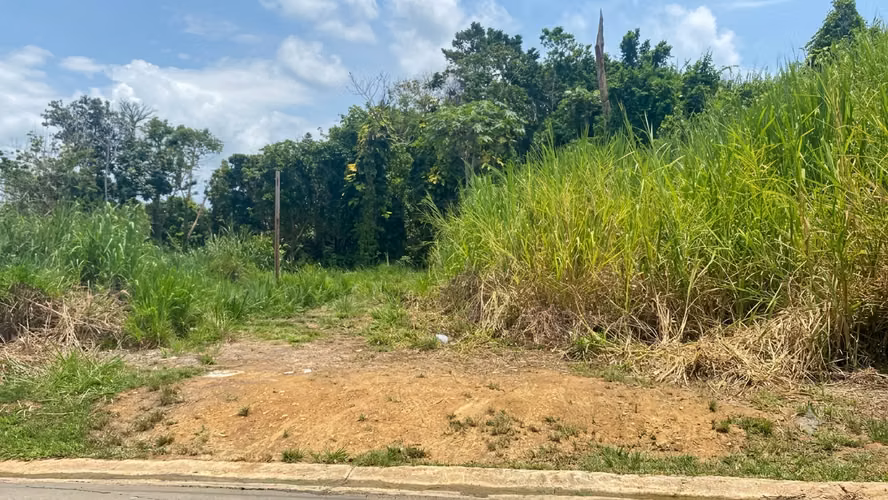 Bo. Sonadora, Terreno en Guaynabo