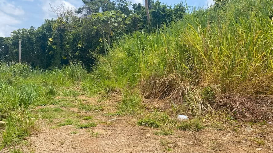 Bo. Sonadora, Terreno en Guaynabo