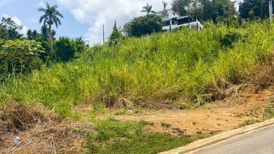 Bo. Sonadora, Terreno en Guaynabo