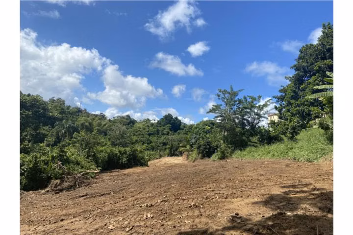 Humacao terreno Buena Vista Puerto Rico - Imagen 2
